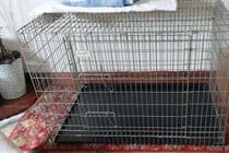 Large dog crate available