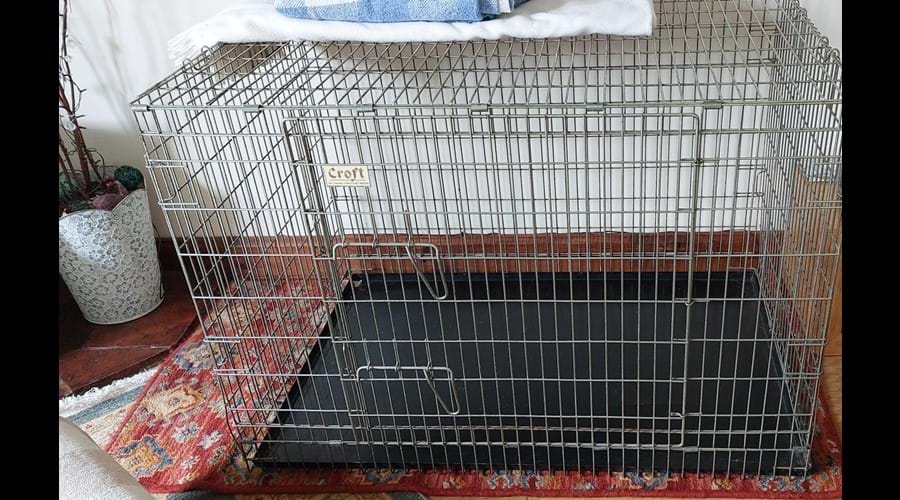 Large dog crate available