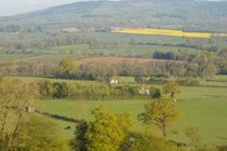 View from our woodland towards Brown Clee