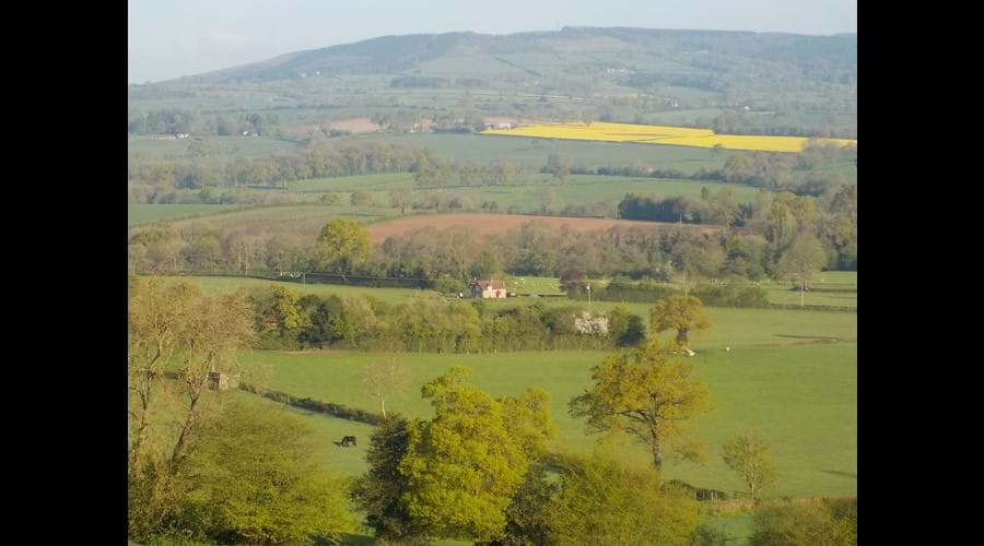 View from our woodland towards Brown Clee