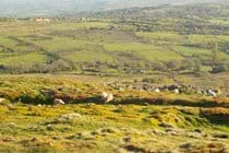 Looking down from Tittlerstone Clee