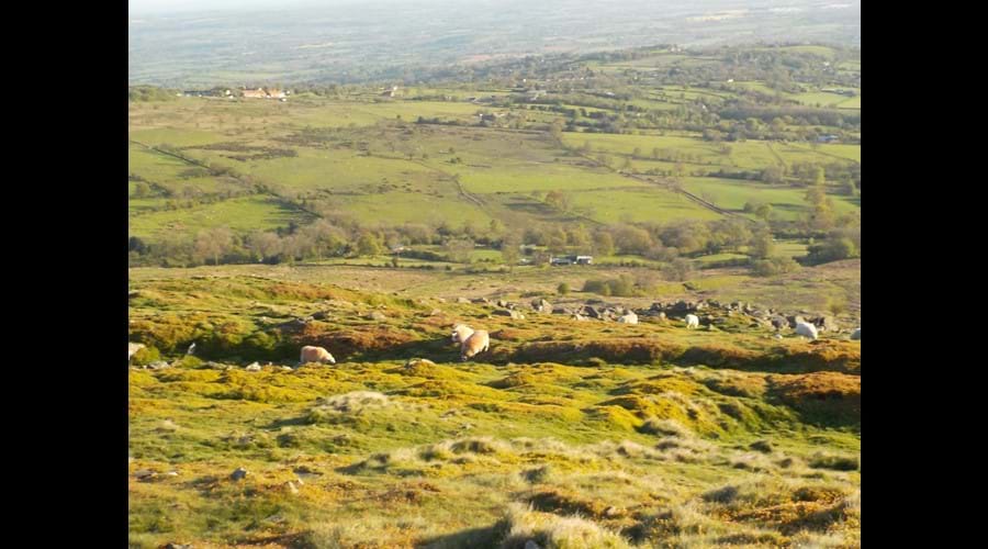 Looking down from Tittlerstone Clee