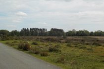 Lots of great walking and cycling off road and along quiet country lanes