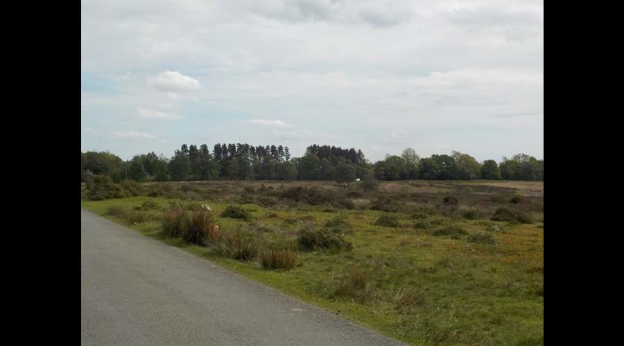 Lots of great walking and cycling off road and along quiet country lanes