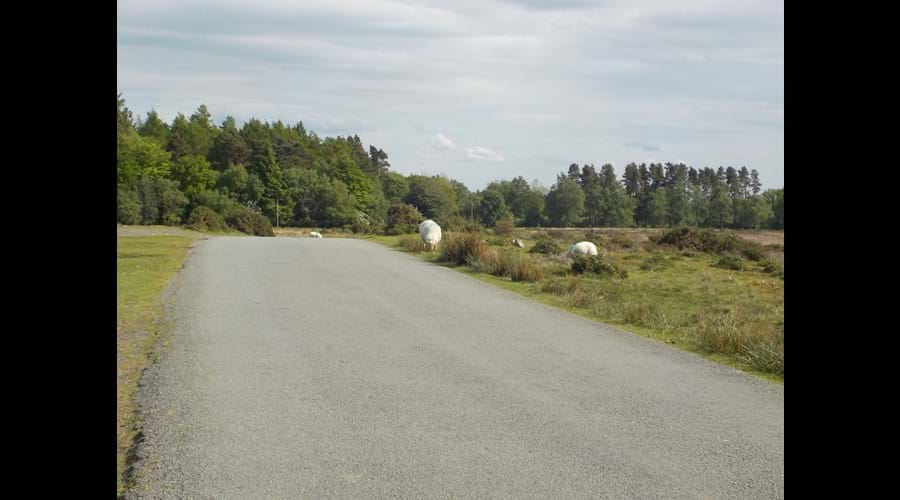 Rush hour on the road to Cleobury Mortimer