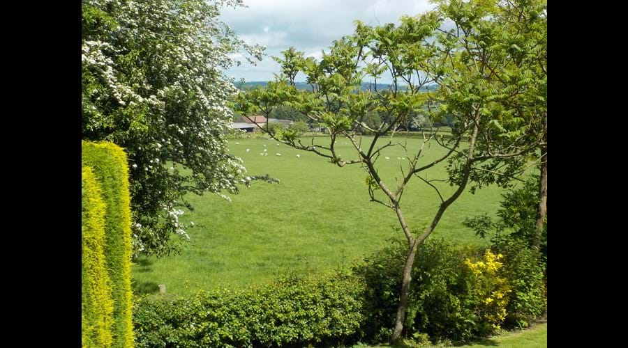 View from the French doors