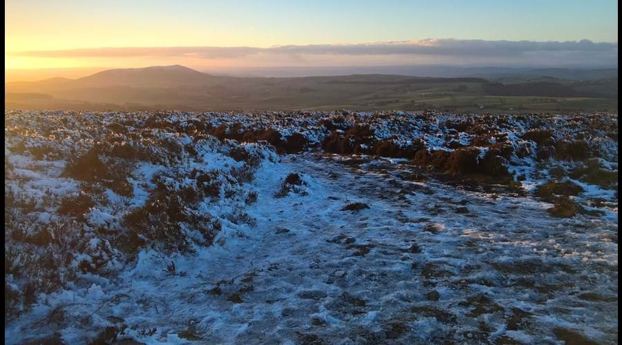 This is a wild and atmospheric landscape, with a geology of national significance. The Ordovician ‘Stiperstones Quartzite’, which makes up the ridge was shattered during the last ice age to create the jagged, boulder-strewn landscape seen today.