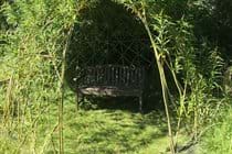 Sit under the natural Willow arbour 