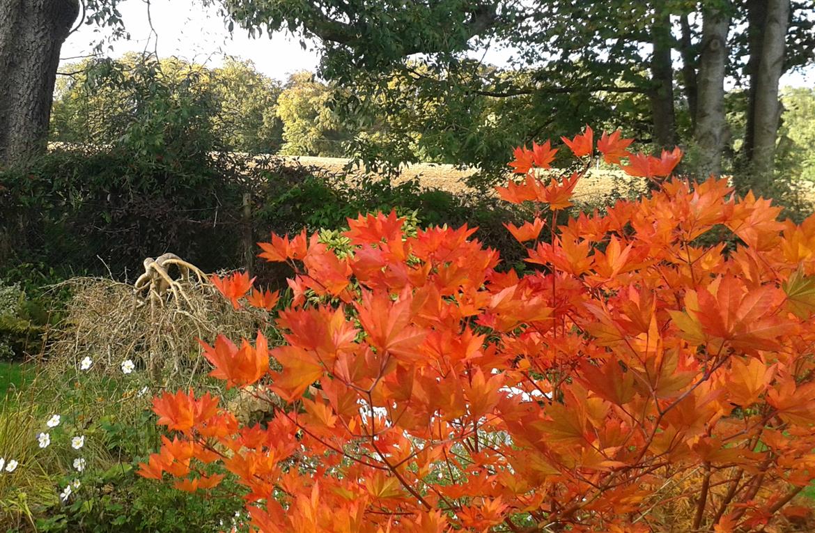 0, 0, 1600, 1051, 300, 197