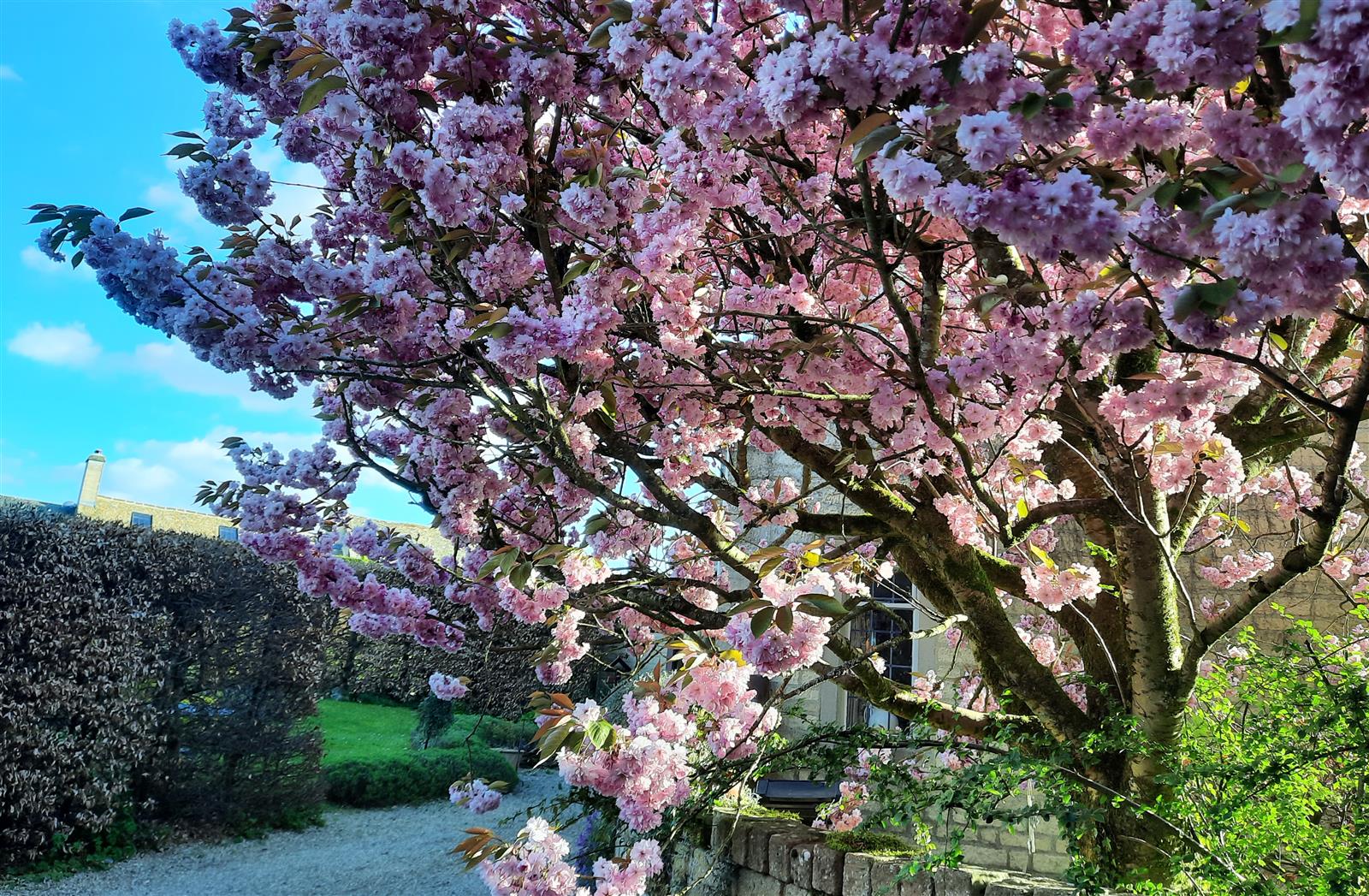 106, 377, 1600, 1047, 3700, 2419