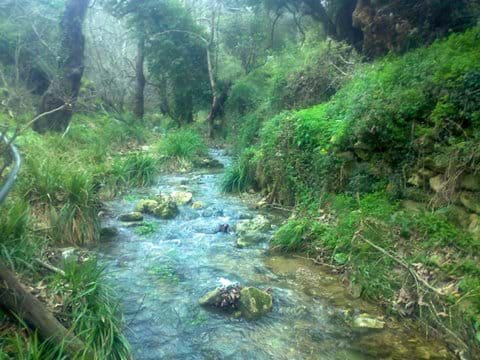 Refreshing Mili Gorge