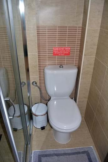 American/European Standard Toilet - You Can Flush TP