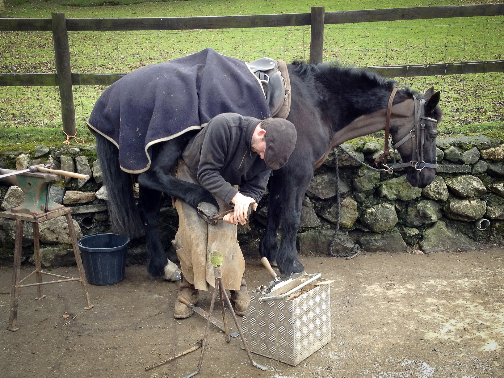 Shoe change at Cholwell Stables near Mary Tavy