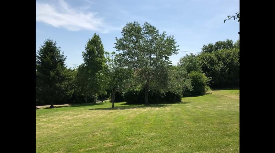 Beautiful garden to explore