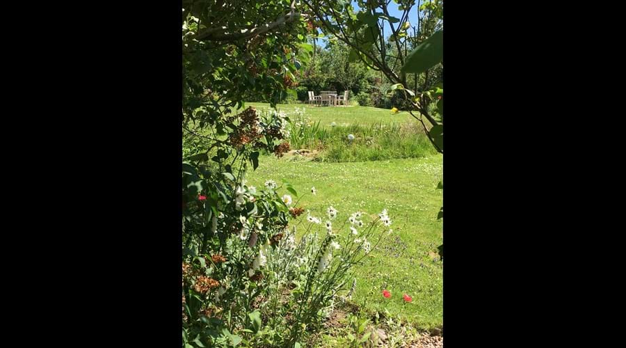 Your garden
