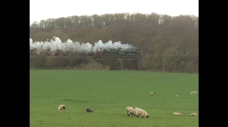 Steam trains if you are lucky