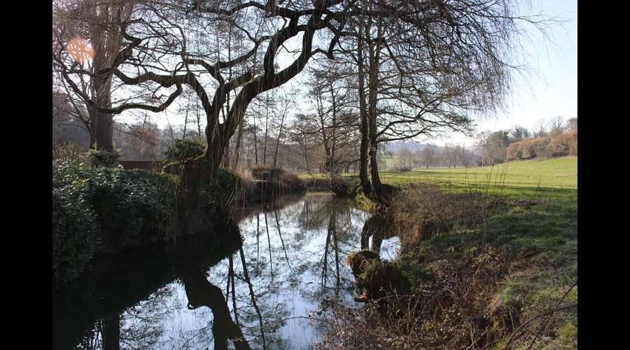 There are plenty of lovely walks from just outside the front door