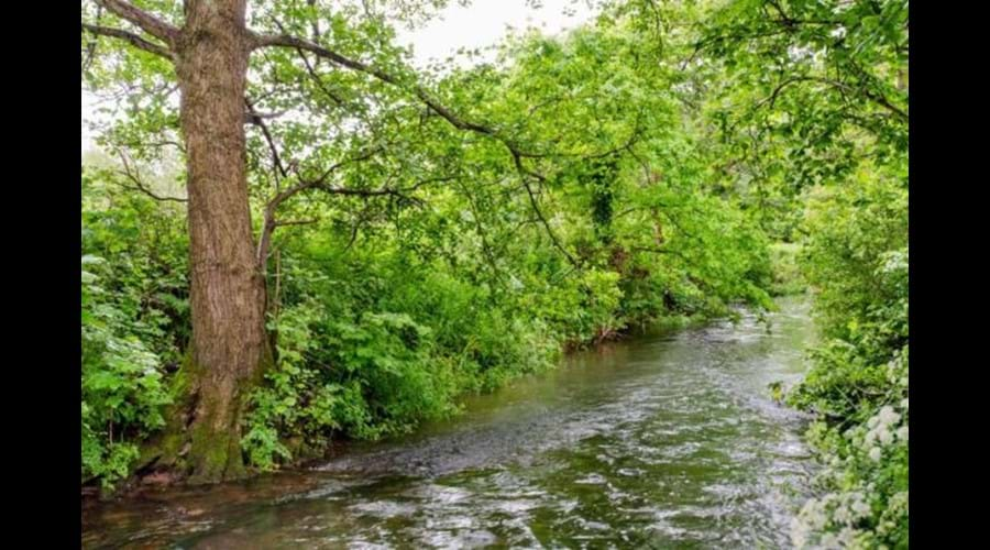 Wellow Brook runs alongside the Mill