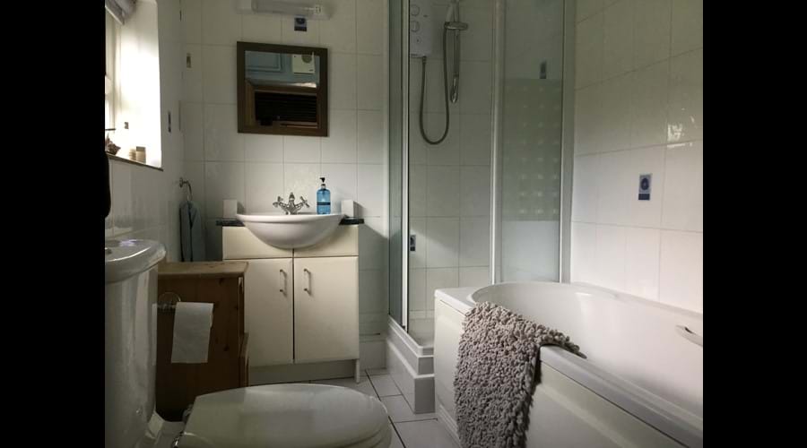 Bathroom With Walk In Shower
