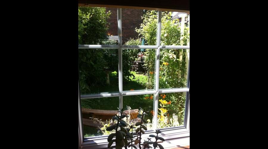 Kitchen View Into The Garden