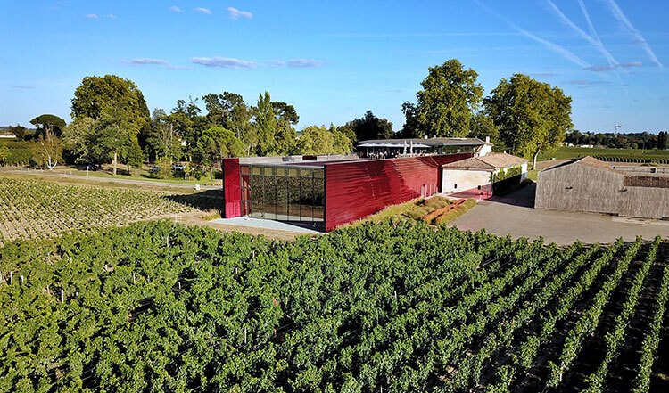 Château La Dominique, where striking modern design meets vineyard views and one of the best lunch spots in Saint-Émilion.