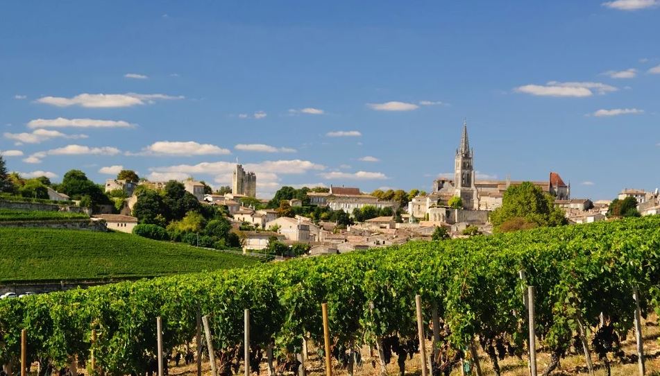 Vineyards near Bordeaux, easily reached from Bonté in the Dordogne, where relaxed wine days begin.