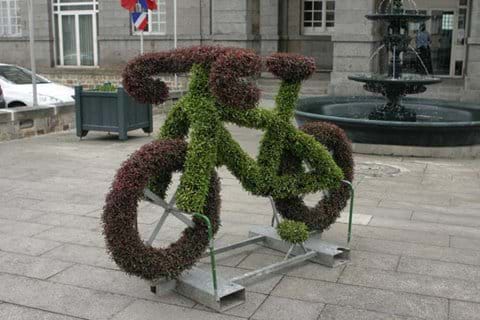 Floral Cycling