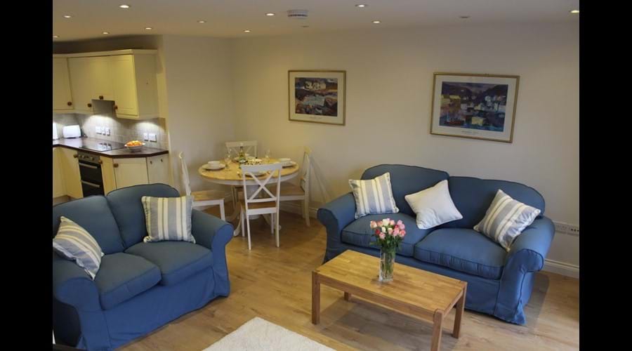 Open plan living room / kitchen