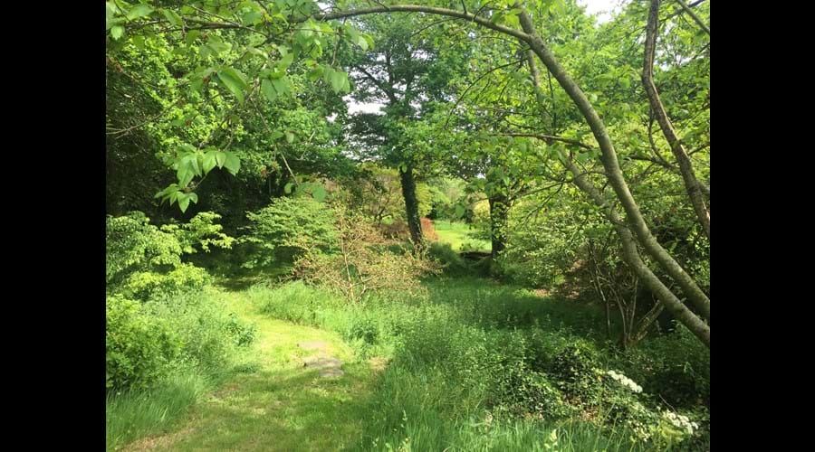 The rear garden at Boudet - perfect for hide and seek, picnics, sunbathing and relaxing