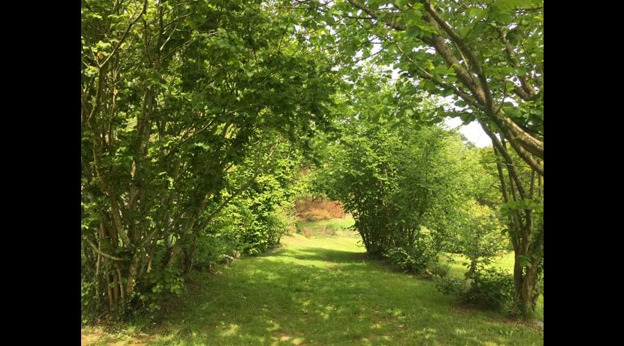 The hazel walk in the rear garden at Boudet