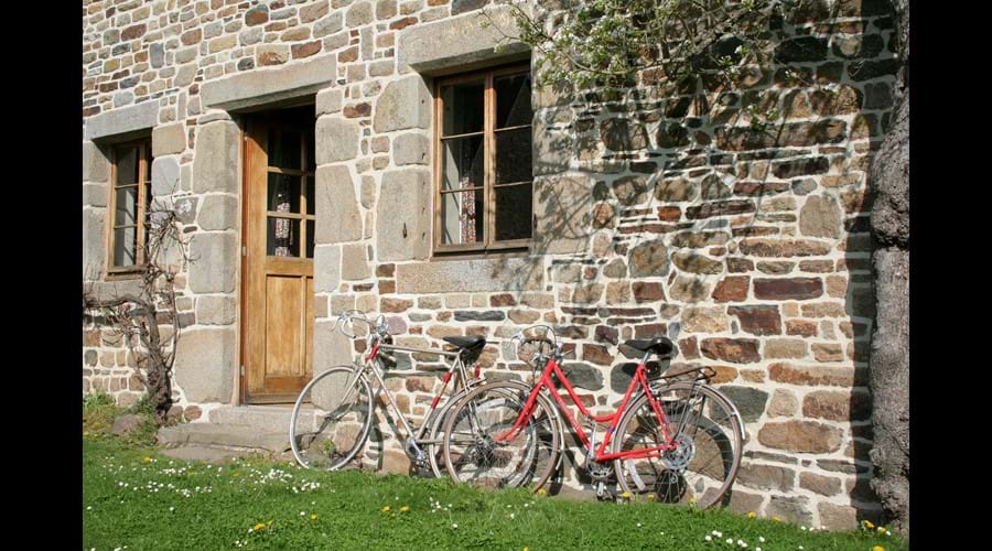 Bikes for you to use.