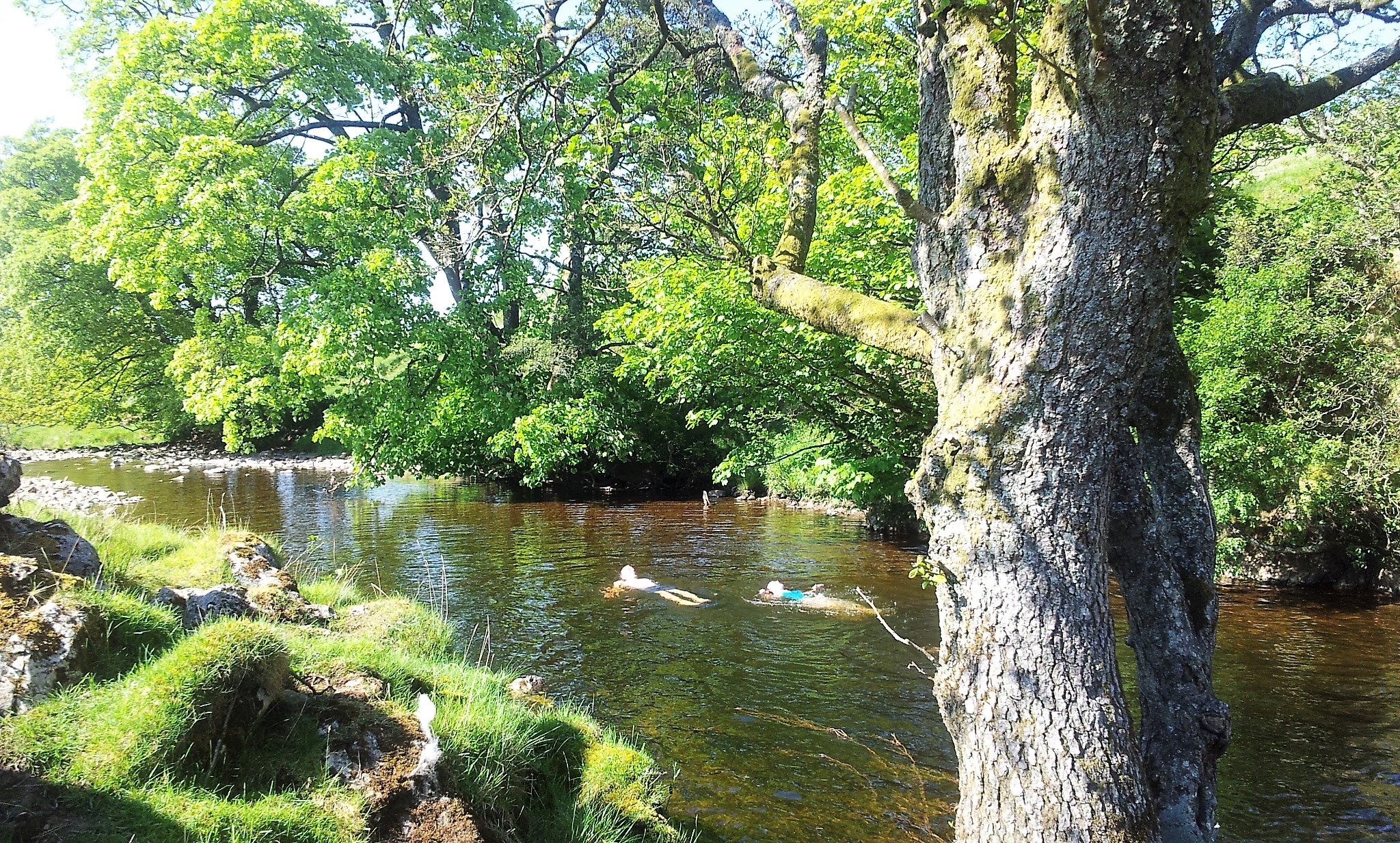 Wild swimming in The Eden