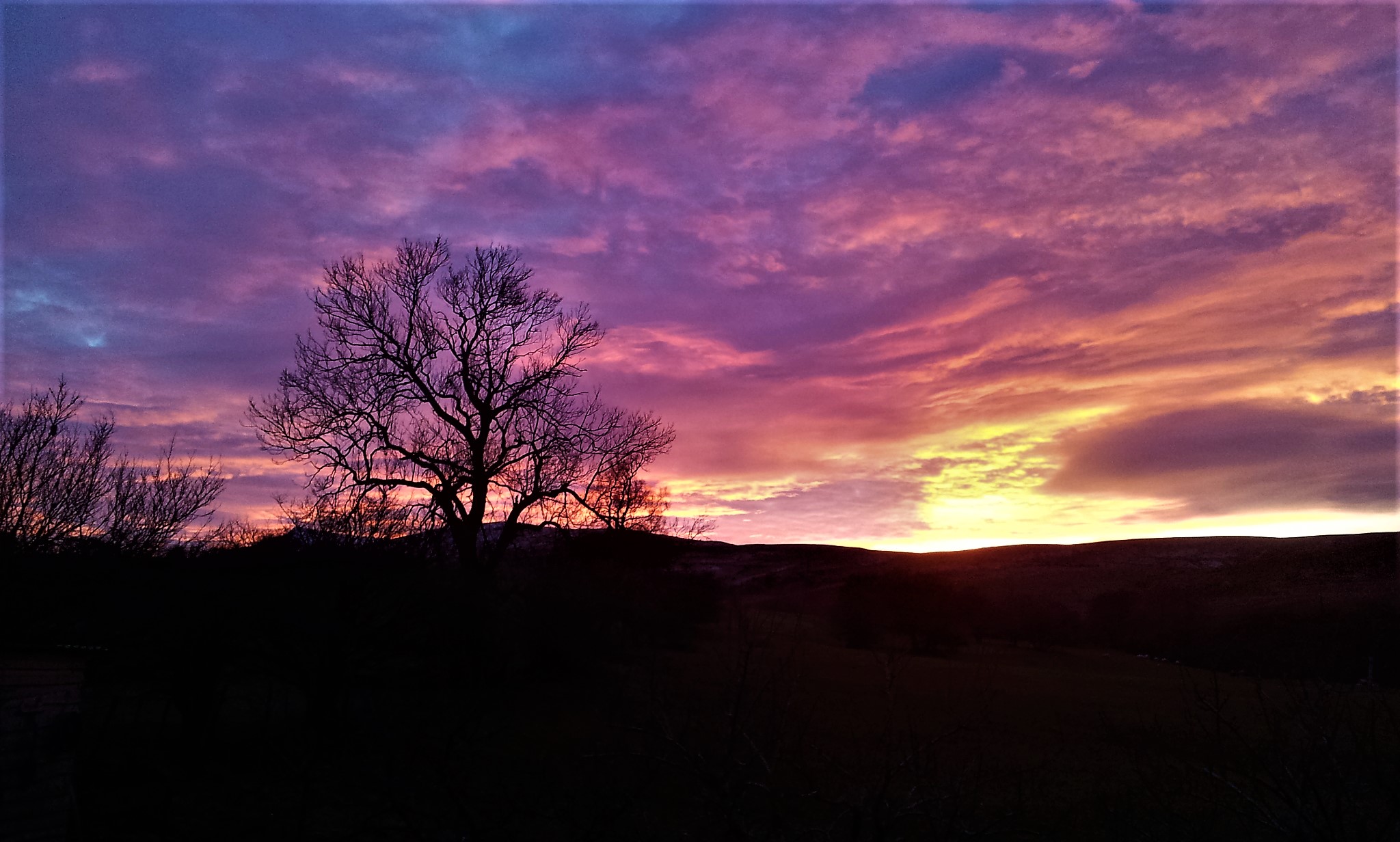 Stunning sunset over Birkett Common.