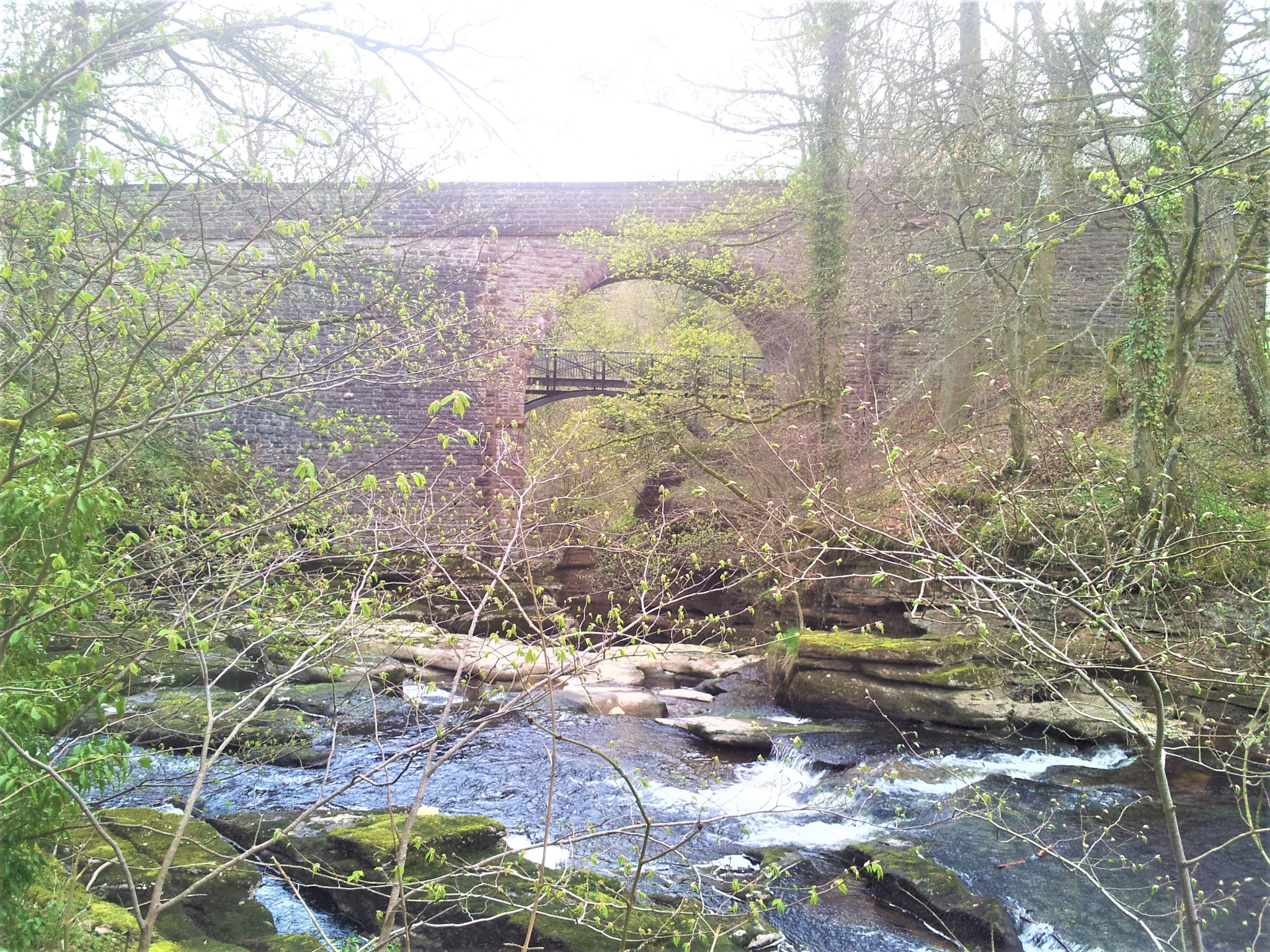 Leisurely walks along The Eden at Stenkrith Park, Kirkby Stephen.