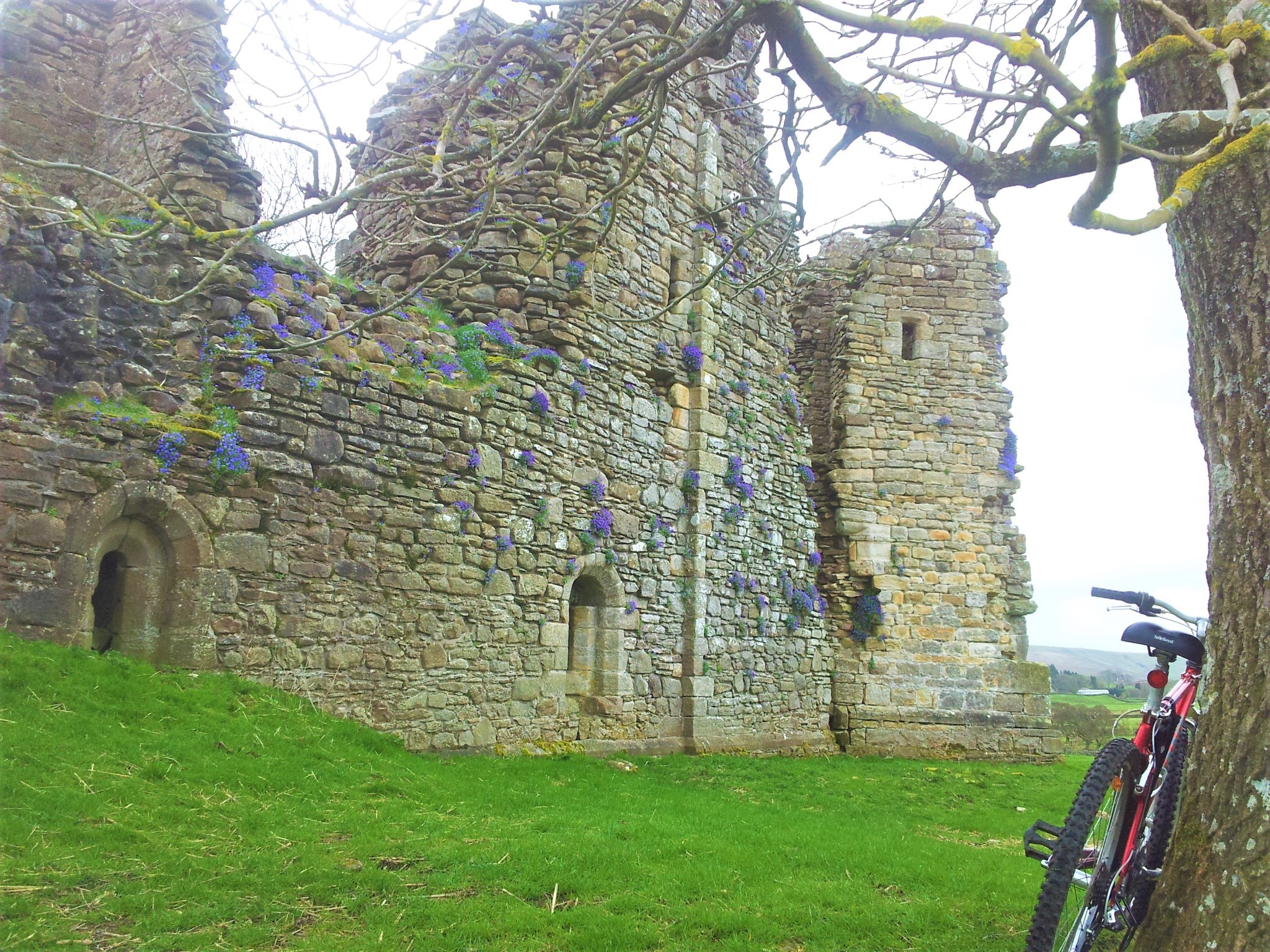 ...castle walls turning blue in Spring :-)