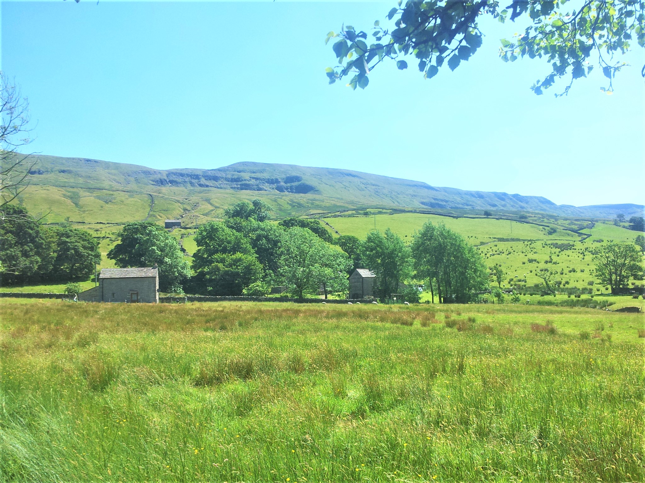 Did you know that High Seat above our cottage is the 4th highest peak in the Yorkshire Dales?