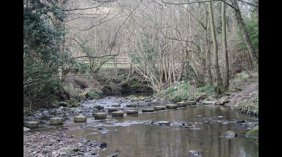 Stepping Stones