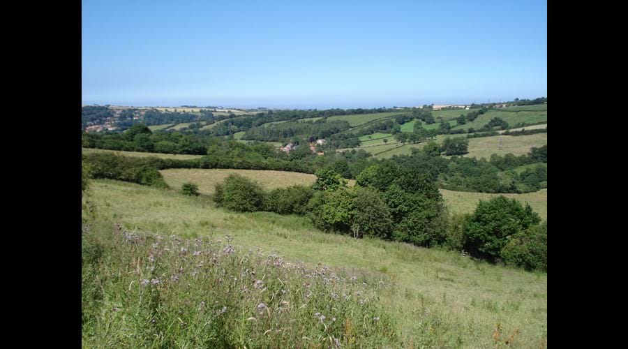 View from field