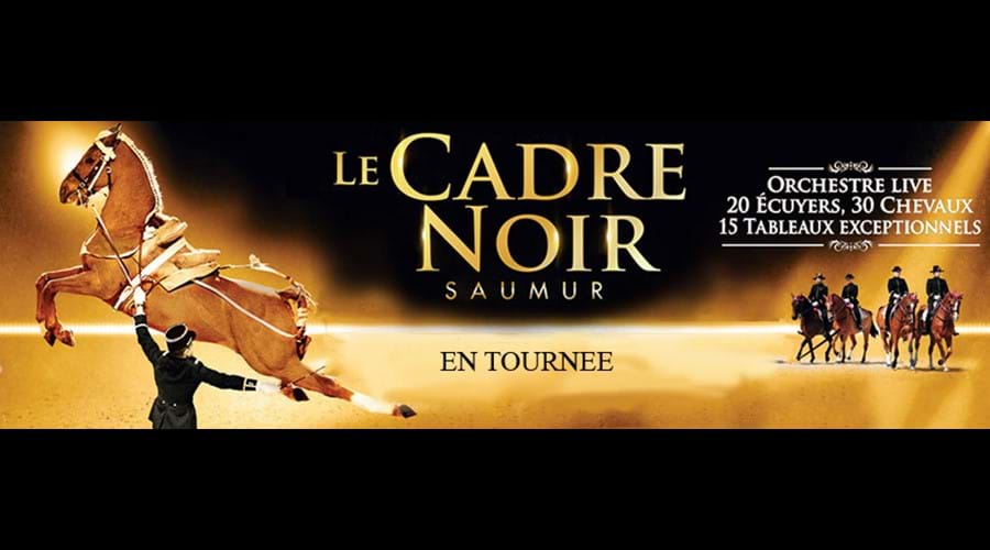 Le Cadre Noir - horsemanship at its finest