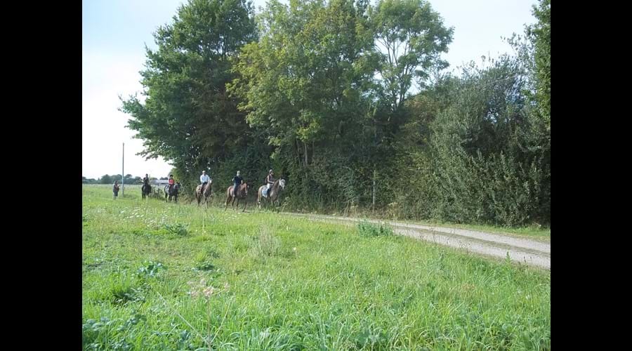 Horse riding in Sarthe