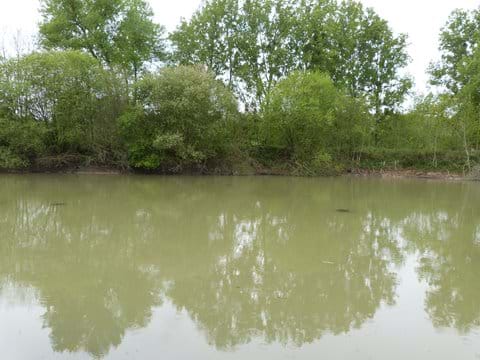 Our own 2 acre lake