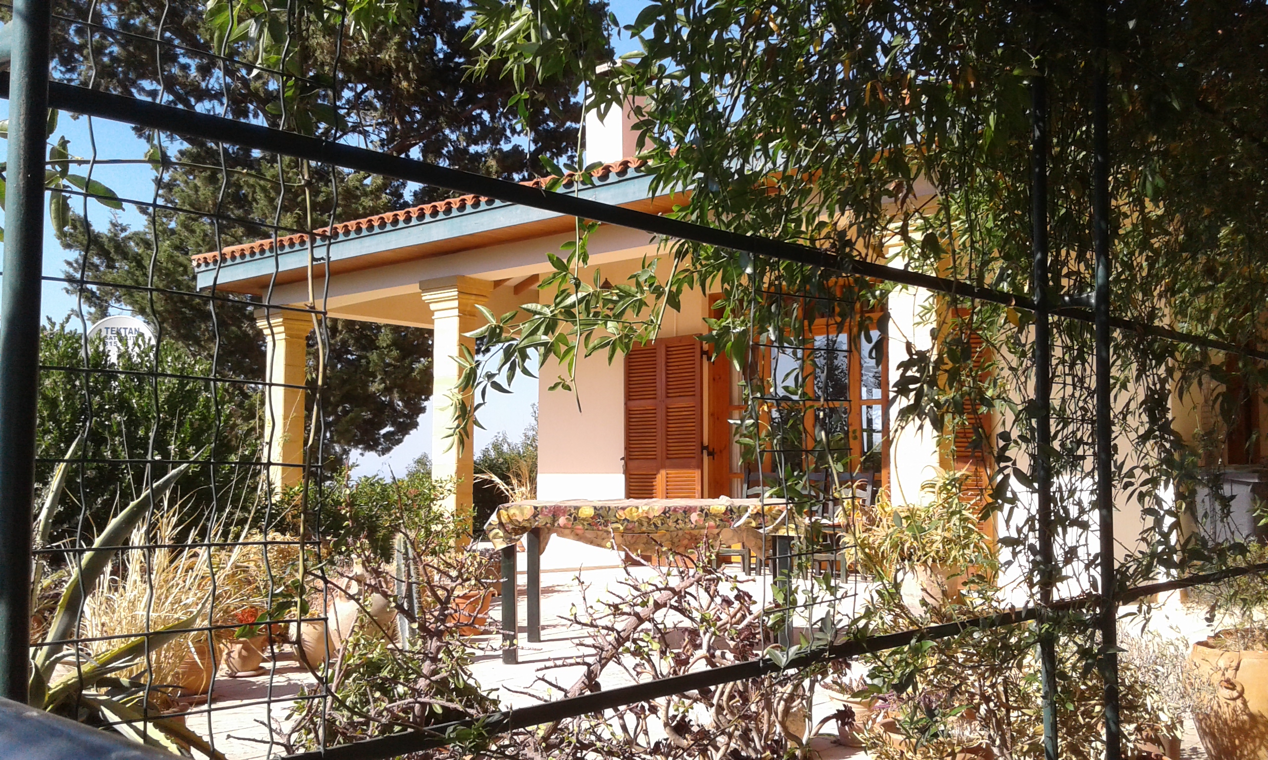 Front terrace catches the evening sun