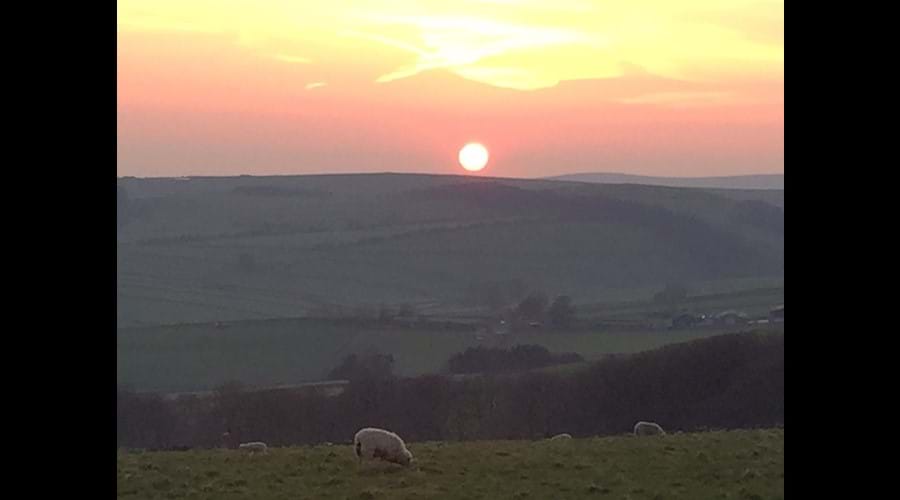 The best Sunsets at Cop Farm