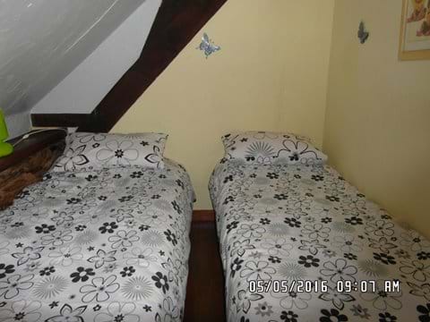 Twin beds in the family room