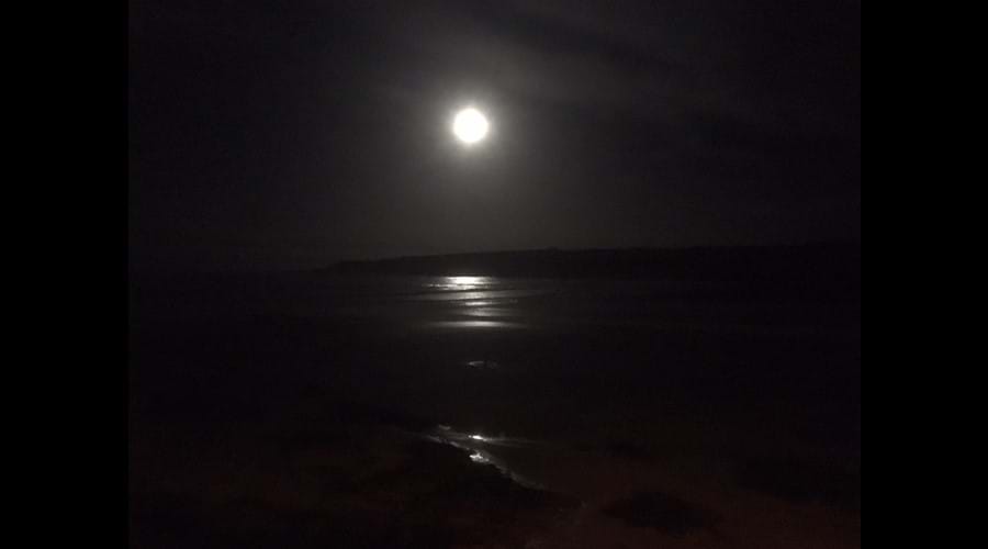 Moonlight over the bay from the cottage
