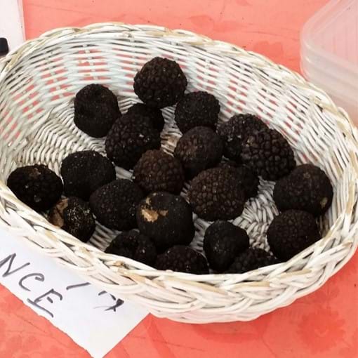 Perigord Black truffles at market