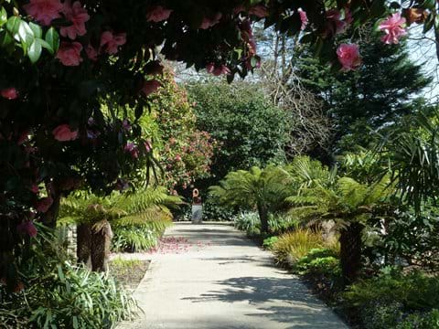 Milntown Gardens near Ramsey.