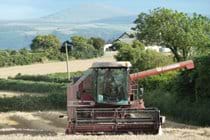 Harvest time at Smeale Farm.