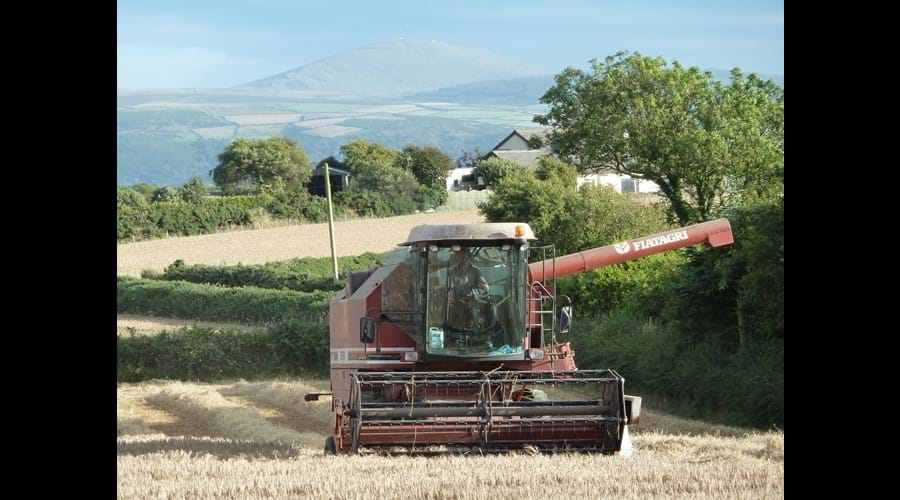 Harvest time at Smeale Farm.