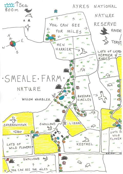 Nature features on Smeale Farm.